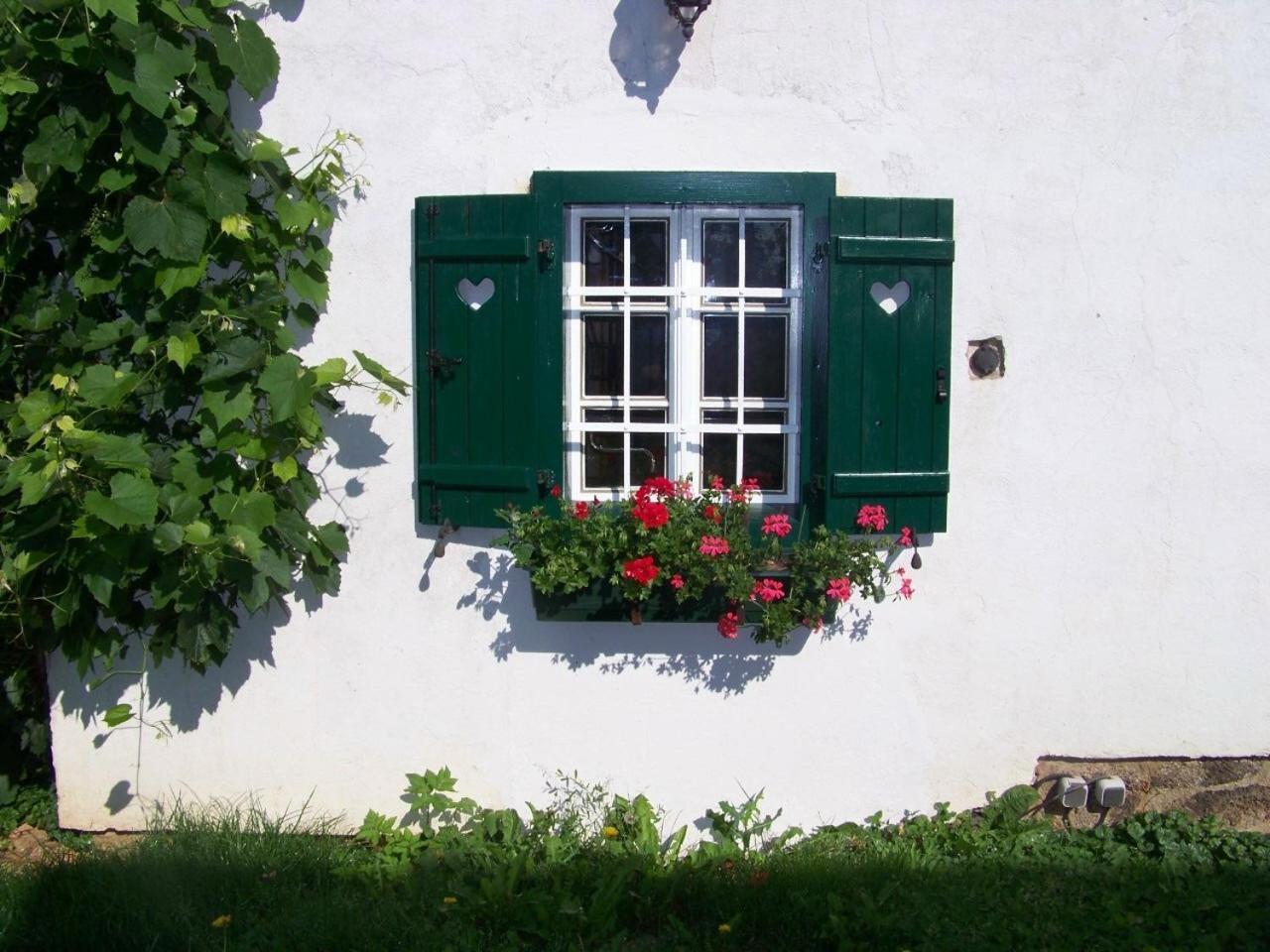 Apartment Liendl Riegersburg Zewnętrze zdjęcie