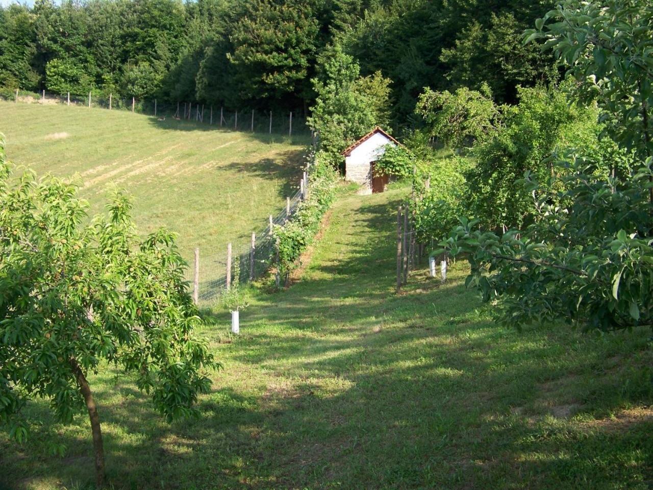 Apartment Liendl Riegersburg Zewnętrze zdjęcie