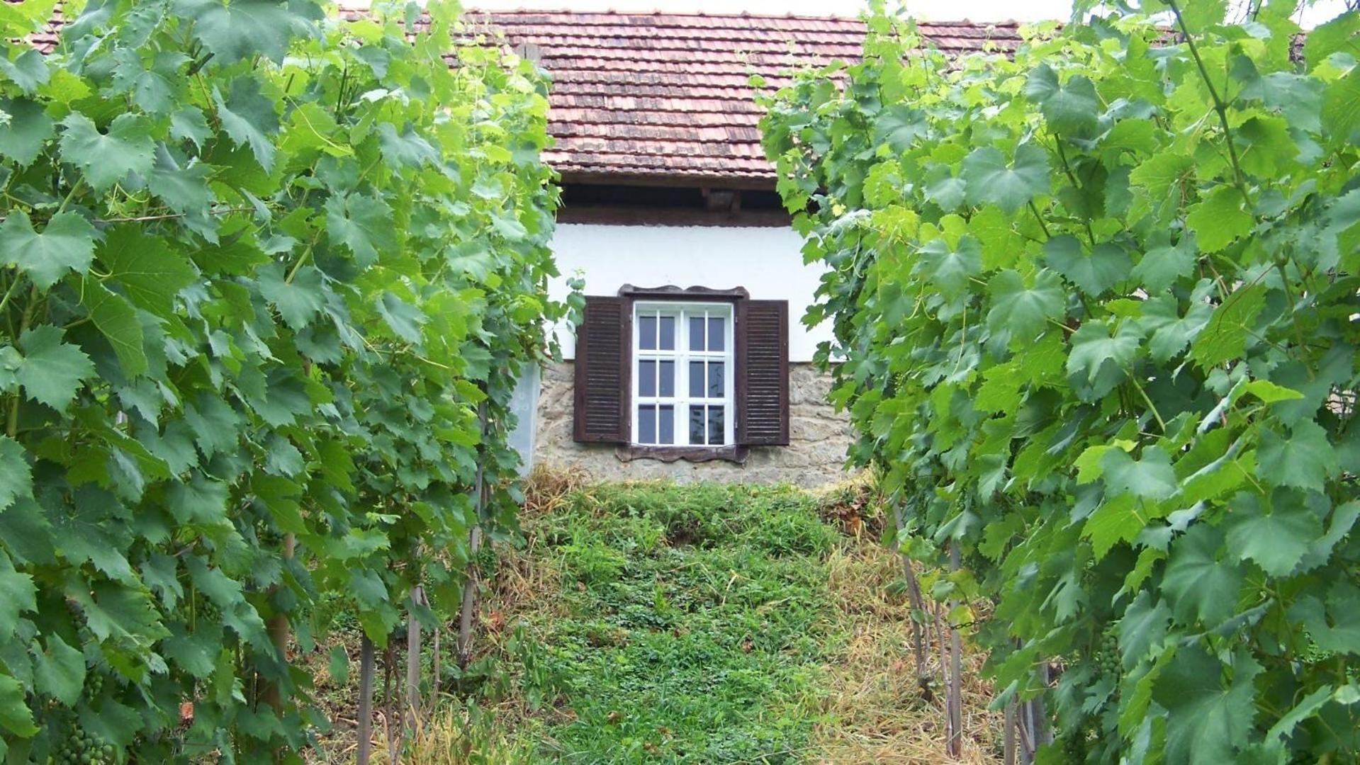 Apartment Liendl Riegersburg Zewnętrze zdjęcie