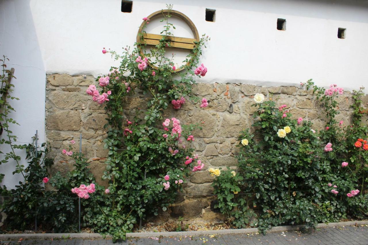 Apartment Liendl Riegersburg Zewnętrze zdjęcie